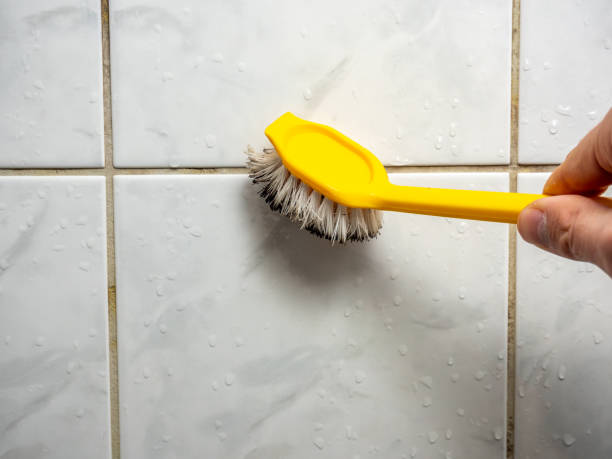 Best Mold Remediation  in Sterling, GA